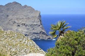 beautiful gray mountain in the sea in mallorca