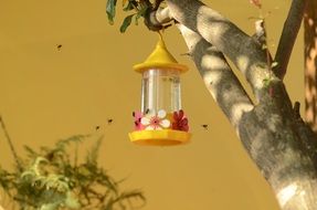 drinking fountain for the bees