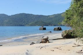 stones on the beach with green trees near the sea