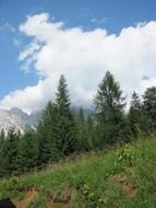 Landscape of belluno borca