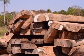 natural wood timber