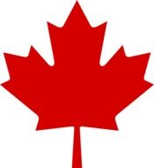 red canadian maple drawing