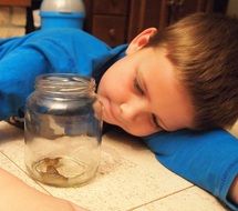 Snail in the jar