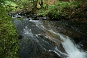landscape of River in the movement