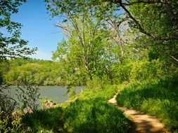 Lake photo on a sunny day in Maryland