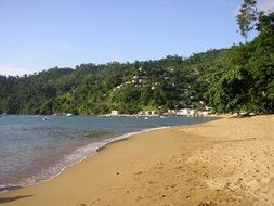 picturesque landscape of sand beach on the island of Tobago