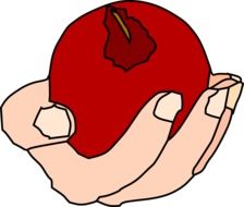 red apple in the hand drawing