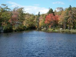 Beautiful and colorful panoramic landscape with the canal