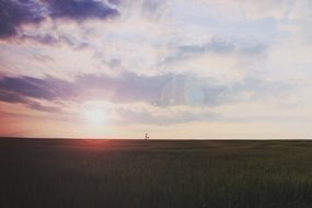 Sunset and the field
