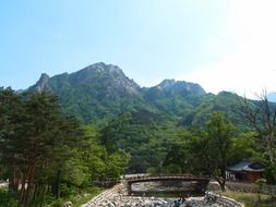 Seoraksan mountain behind green trees, South Korea, gangwon, sokcho