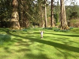 child playing on the grass near the trees