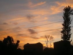 trees and buildings silhouettes at evening sky