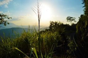 sunset on Sri Lanka