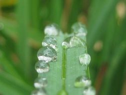 terrific water droplets