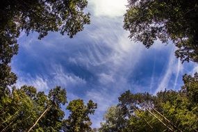 cloud haze in the blue summer sky