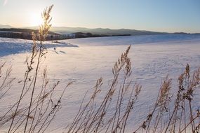winter's day in Japan