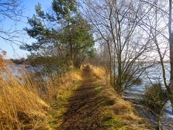 coast of nature reserve de grote peel at fall, netherlands, noord limburg