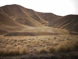 New Zealand peaceful landscape