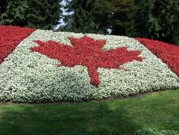canada flag minter