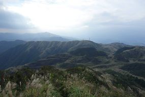 mount flower