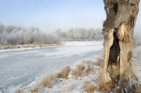 Snowy winter landscape in February