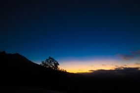 early morning in bali