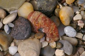 different stones on the beach close-up