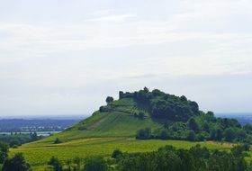 landscape of vineyard on a hill