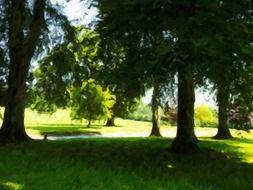 green forest in Parklands
