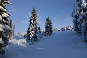 Landscape of winter in Norway