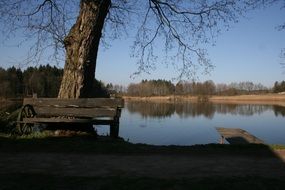 terrific pond bench