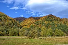 autumn sun in Poland