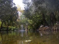 Water stream in a forest in Spain