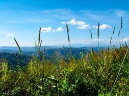 North Thailand mountains landscape