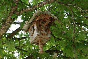 aviary on the tree
