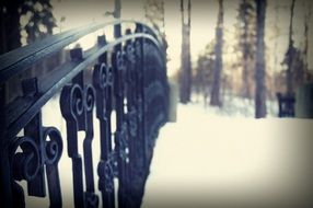winter landscape in the park