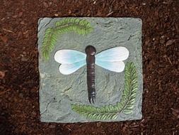 dragonfly with spruce branches on the stones