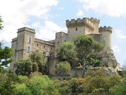 Picture of a medieval castle