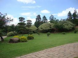 landscape of green lawn in the park