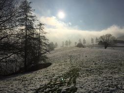 Beautiful landscape of snowy park in light in winter in Rhön, Germany