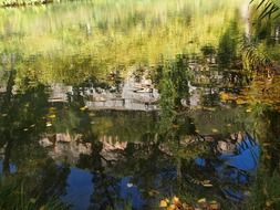 reflection of rocks and trees in the river