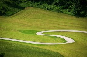 serpentine path on a green meadow