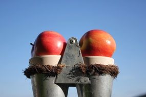 decoration with two red apples