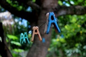 clothespins on a rope near green trees