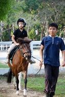 boy riding a pony