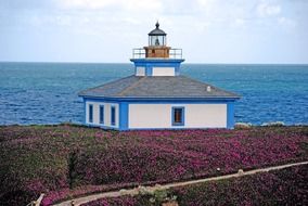 wonderful lighthouse on the island