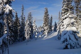 winter mountains in Norway