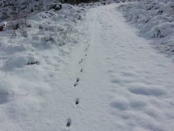 snow path trail