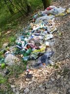 Garbage in the green forest