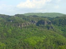 green forest on the mountains